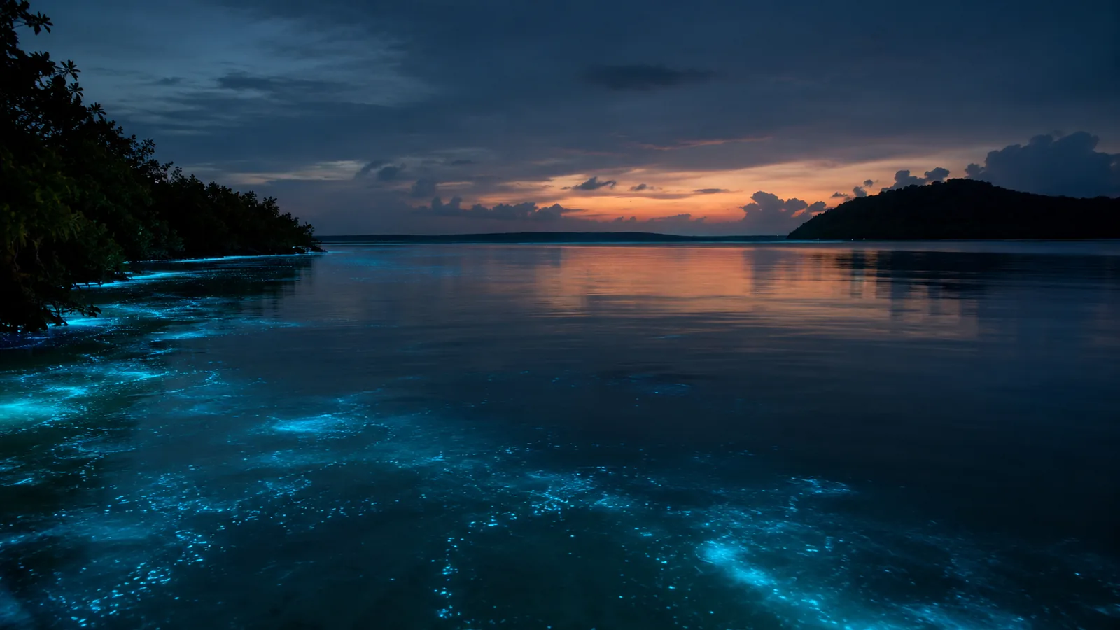 Luminous Lagoon