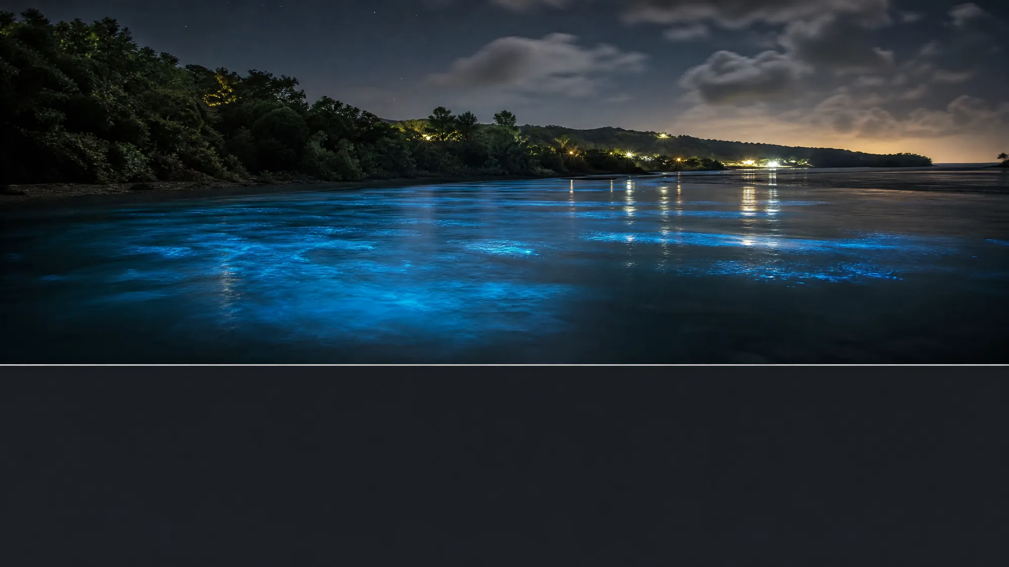 Participez à une excursion en bateau nocturne sur une rare baie bioluminescente à Falmouth. Nagez dans des eaux peu profondes qui s’illuminent d’un bleu-vert éclatant lorsqu’on les remue.